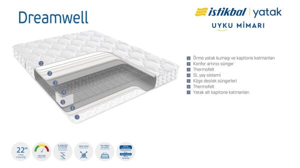 Dreamwell Yatak 100X200